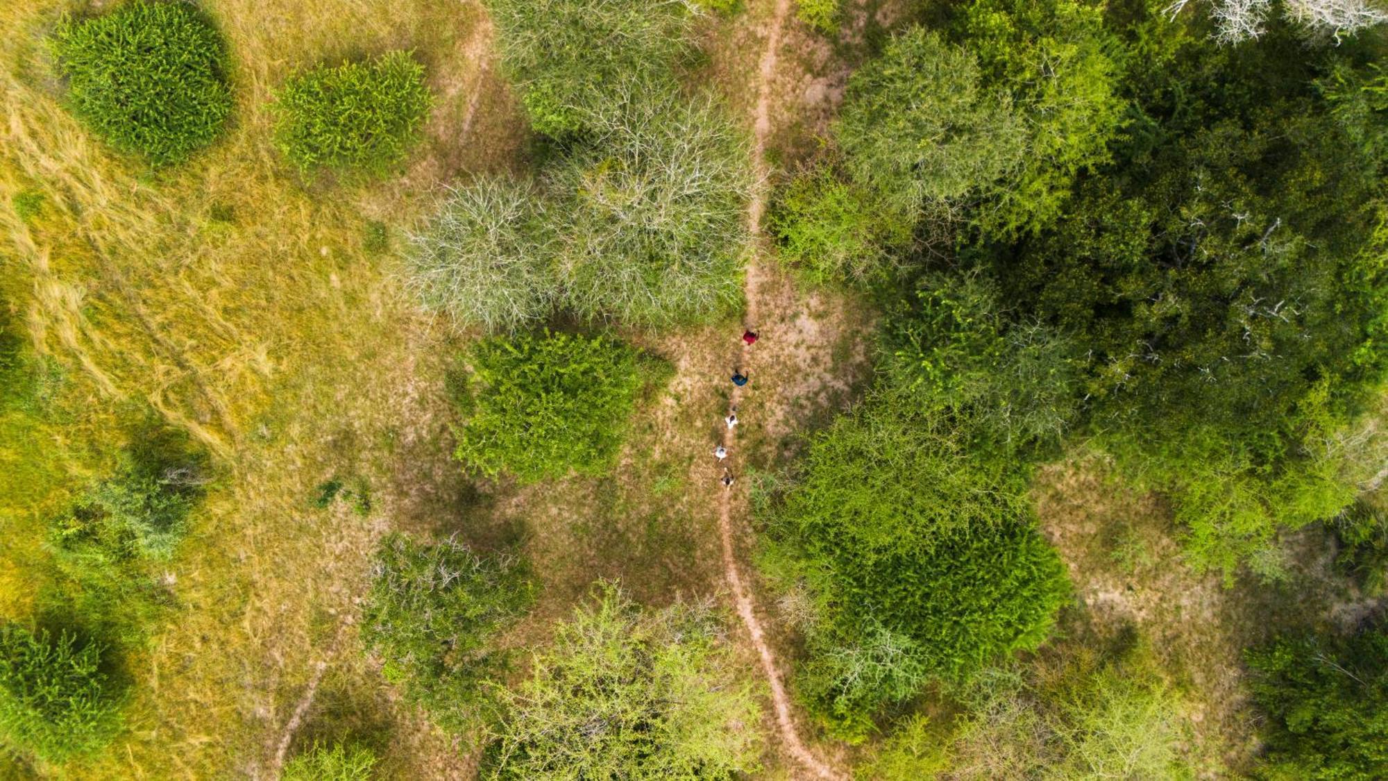 Вилла Africa Safari Nyerere Kwangwazi Экстерьер фото
